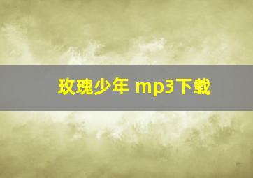 玫瑰少年 mp3下载